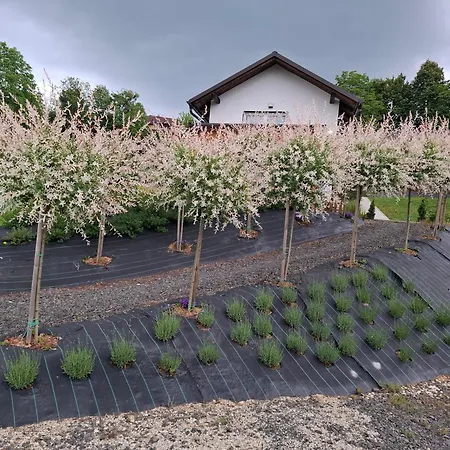 Apartmán Apartma Ob Jezeru Sveta Trojica v Slovenskih Goricah