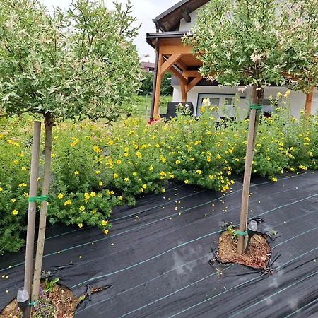 Apartmán Apartma Ob Jezeru