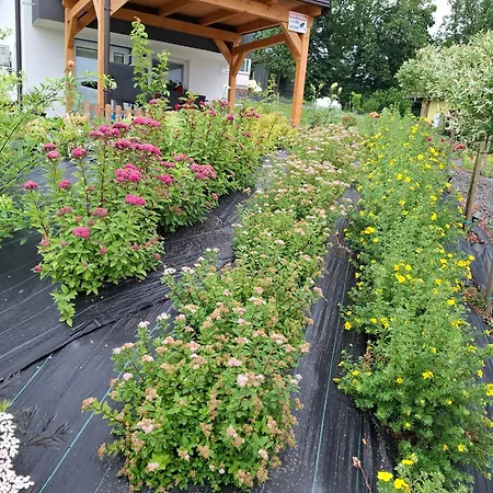 Apartmán Apartma Ob Jezeru *