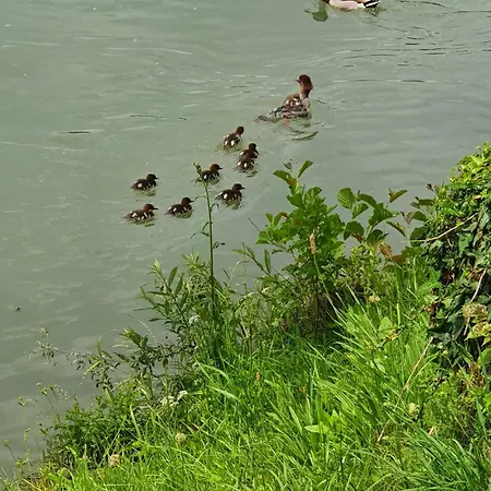 Apartma Ob Jezeru Apartament Sveta Trojica v Slovenskih Goricah