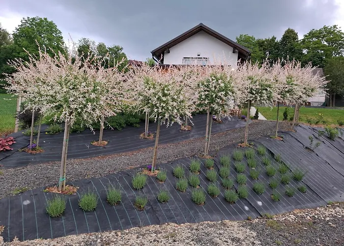 شقة Apartma Ob Jezeru Sveta Trojica v Slovenskih Goricah