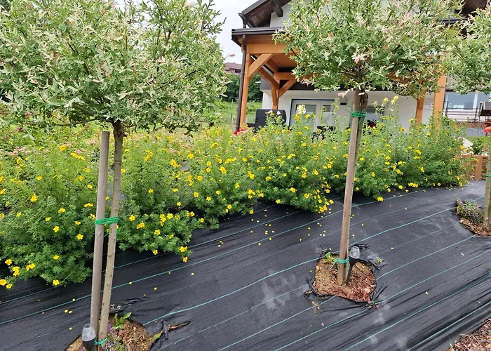 شقة Apartma Ob Jezeru